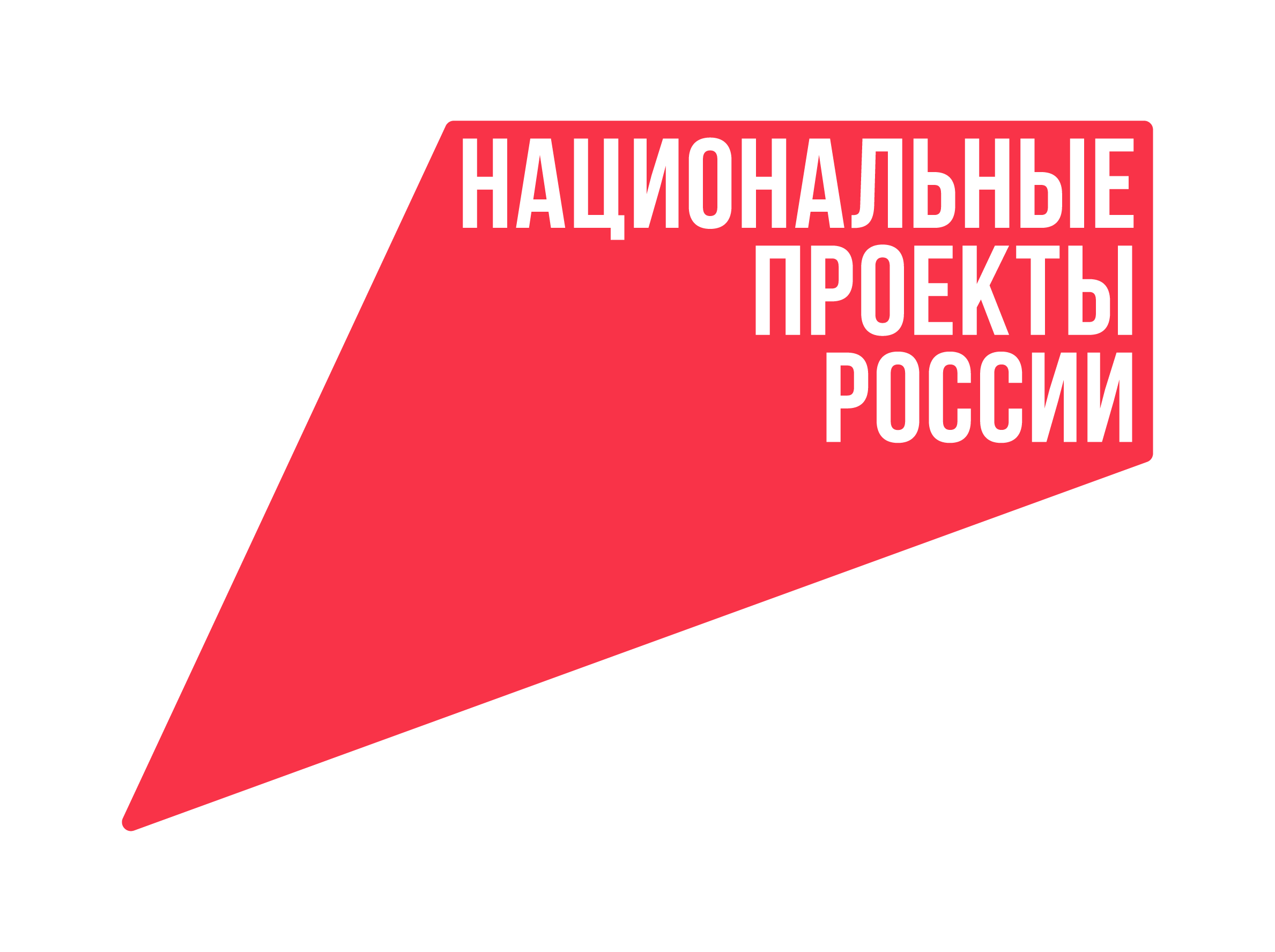 Национальные проекты России Национальные проекты России.